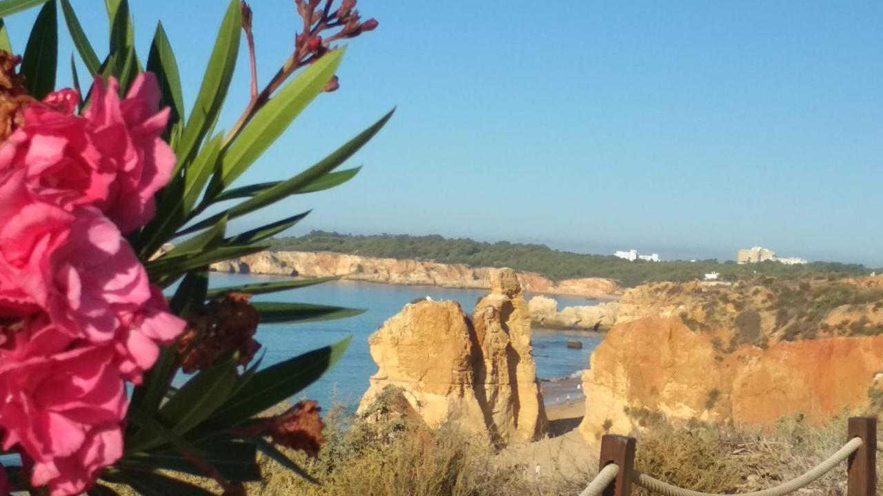 Albur Village B - Camomile Alvor Extérieur photo