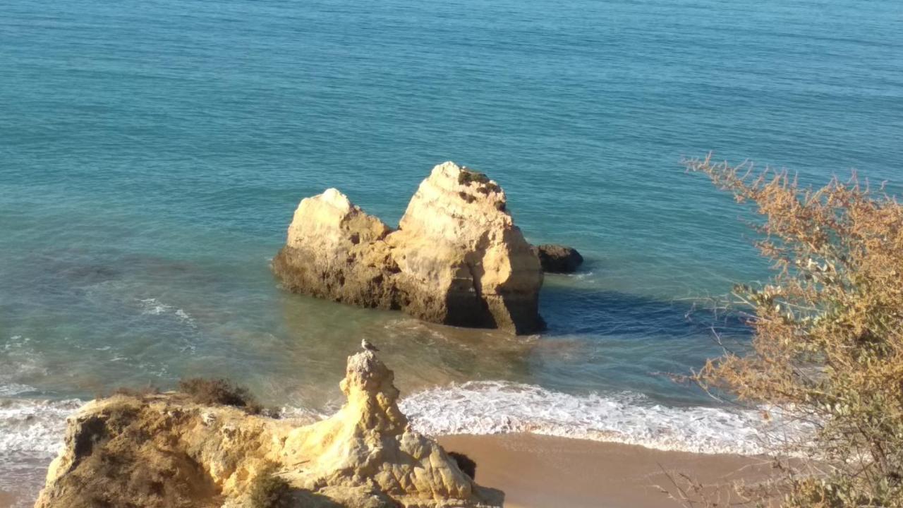Albur Village B - Camomile Alvor Extérieur photo